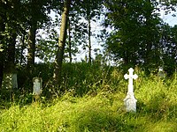 Старе бойківське кладовище (цвинтар)