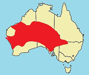 Description de l'image Brachyurophis fasciolatus distribution map.jpg.