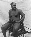 Image 30King Cetshwayo (ca. 1875) (from History of South Africa)