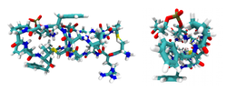 Duramycin (Streptoverticillium griseoverticillatum)