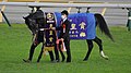 2022 Tenno Sho (Autumn)