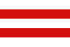 Flag of Carpi
