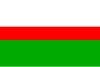 Flag of Horní Bříza