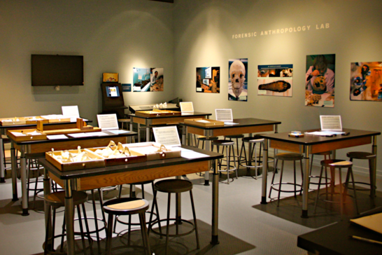 Forensic Anthropology Lab at the National Museum of Natural History, Smithsonian Institute, Washington D.C.