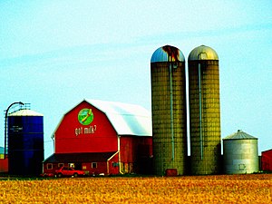 Got Milk advertising on a barn in Marathon County, Wisconsin