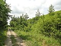 Un chemin dans la ZNIEFF à Huiron