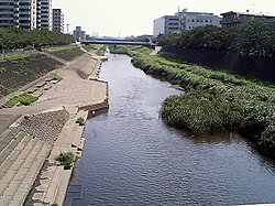 柏尾川 2004年9月1日撮影