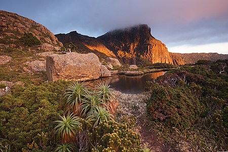 Mount Anne at Flora and fauna of Tasmania, by JJ Harrison