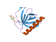 2p0d: ArhGAP9 PH domain in complex with Ins(1,4,5)P3