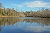 A picture of a lake with dormant trees in the back