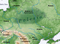 Polesie region of Eastern Europe marked in dark green. One of the largest forest areas on the continent