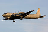 Il-38