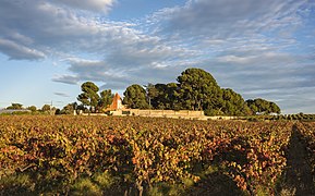 Le lieu-dit « Saint-Félix » à Loupian.