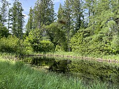 Lac et terrain privés, rang Haut-de-la-Grande-Ligne, Saint-Narcisse