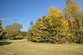 L'automne au parc