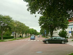 Ålandsvägen, a typical street in Mariehamn, with linden trees.