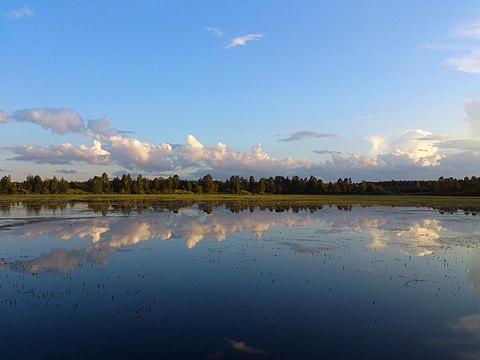 Шинкарский пруд