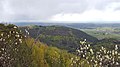 Ringelsberg (Pfalz)