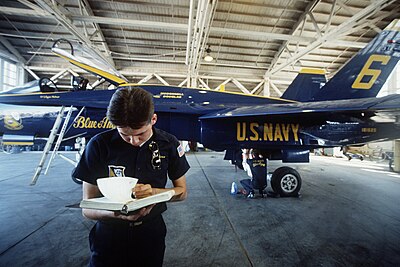 manutenzione Blue Angels