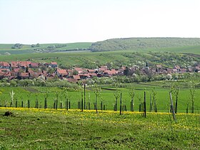 Boršice u Blatnice