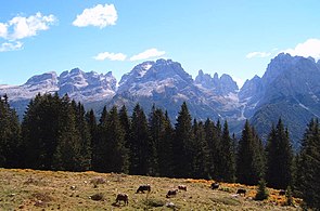 Dolomiti di Brenta da ovest