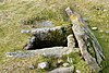 Dartmoor kistavens