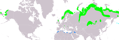 Distribución de Charadrius morinellus