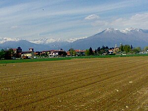 フェレットの風景