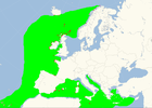 Aire de répartition de l'Océanite tempête