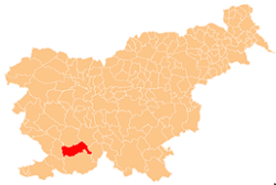 Location of the Municipality of Pivka in Slovenia