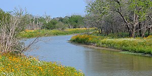 Lake Somerville State Park, Lee County (May 2017).