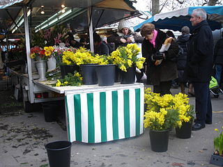 Quai Saint-Antoine, fleuriste