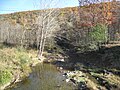 Mill Creek at Mechanicsburg Gap viewed from the Core Road (County Route 50/53) bridge near Romney