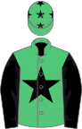 Emerald green, black star, sleeves and stars on cap