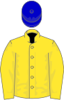 Yellow, yellow sleeves, blue cap