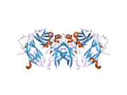 1z9o: 1.9 Angstrom Crystal Structure of the Rat VAP-A MSP Homology Domain in Complex with the Rat ORP1 FFAT Motif