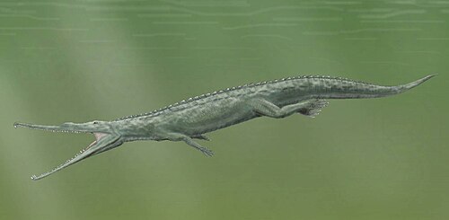 Life restoration of Paleorhinus arenaceus.