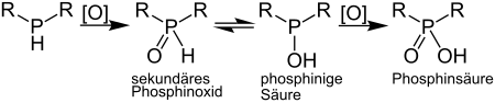 Synthese von Phosphiniger Säure und Phosphinsäuren