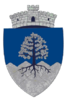 Coat of arms of Telciu