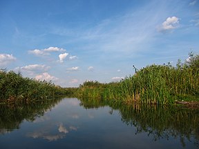 Ansicht des Naturparks Comana