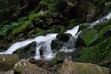 A small waterfall on the Stânișoara stream.
