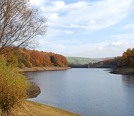 Image of a lake surrounded by trees