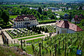 Park von Schloss Wackerbarth, vom Jacobstein aus