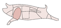 Vorschaubild der Version vom 13:34, 19. Jan. 2013