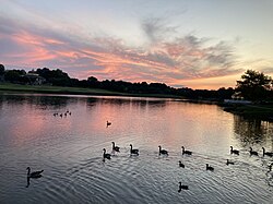 Pond in Wyndham, Virginia