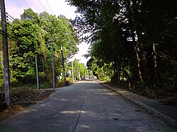 Shady atmosphere of Laem Sing District