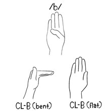 The image depicts three different handshapes in ASL. The top hand is the letter b in ASL. There is "/b/" written above the hand. The hand has the palm facing the viewer with all fingers extended and the thumb bent across the palm. The bottom right hand is labeled "CL-B (bent)". This hand shows the side of the hand thumb facing the viewer, with the thumb straight up and the other fingers bent at the lowest joint. The bottom right hand is labeled "CL-B (flat)". This hand has the palm facing the viewer with all fingers extended and the thumb pointed up along the side of the hand.