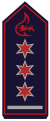 Stellv. Abteilungskommandant (als HLM)