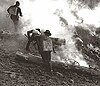 Firefighters on the Blackwater fire of 1937