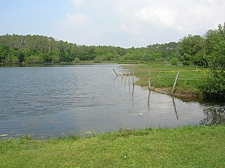 Étang de Bourg le Vieux.